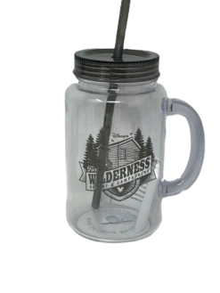 Disney Fort Wilderness Resort & Campground Plastic Mason Jar Mug With Lid And St