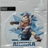 Disney Star Wars Ahsoka Magnet