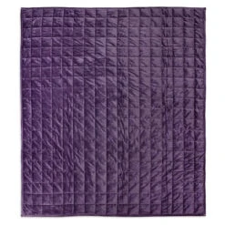 Disney The Haunted Mansion Weighted Throw -Disney image 21886902 0998 4872 b73d 810ff80d463e