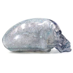 Disney Crystal Skull – Indiana Jones And The Kingdom Of The Crystal Skull -Disney image d67ea733 3f9a 4285 af20 ec03acbfcfd8