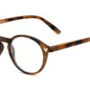 Disney The Wonderx Foster Grant® Matte Brown Tortoise